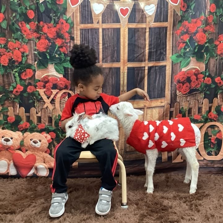 The Learning Academy