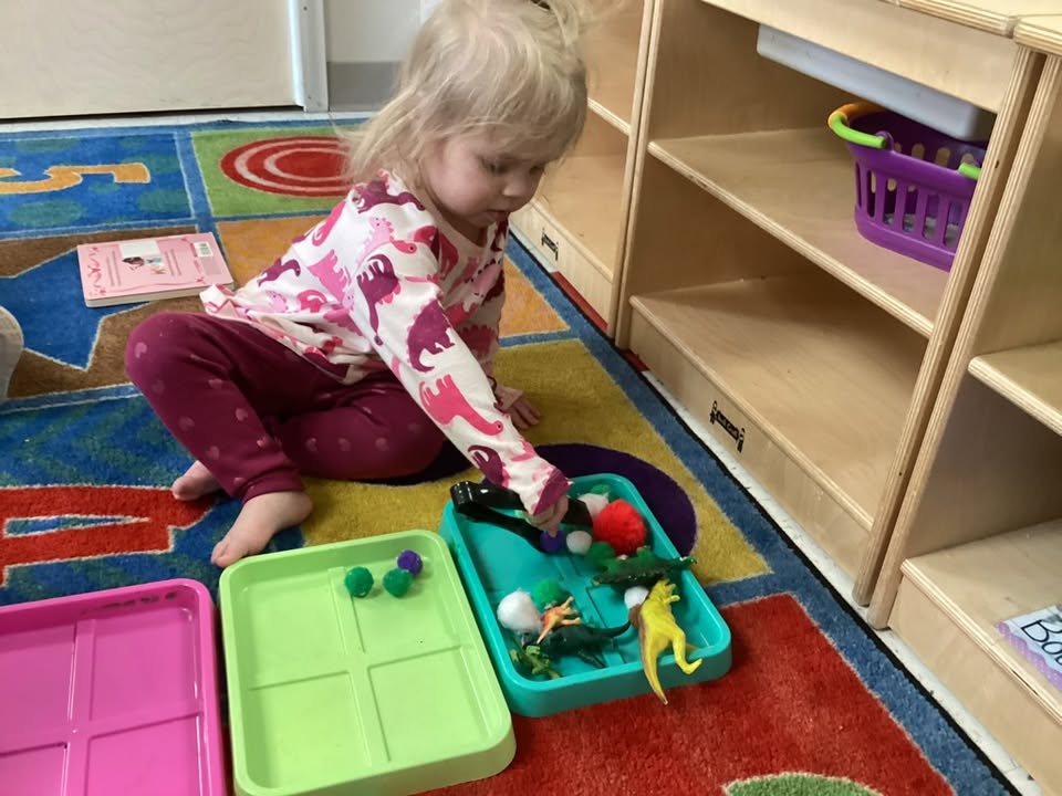 The Learning Academy