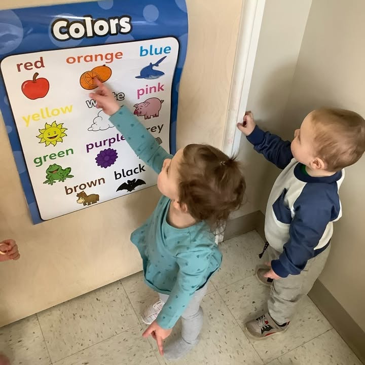 The Learning Academy